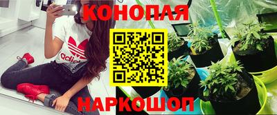мескалин Ставрополь