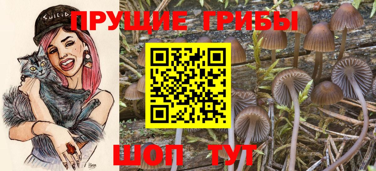 Псилоцибиновые грибы мухоморы  Вход с VPN  цены наркотик  Углич 
